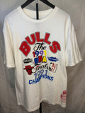 Mitchell & Ness Chicago Bulls Championship shirt - XL *PLEASE READ DESCRIPTION